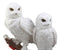Ebros Mystical Two White Snowy Owl Couple Perching On Tree Branch Statue 12.25"Tall