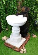 Rustic Black Bear by Wishing Fountain Bird Feeder Or Bath Garden Statue 27"H