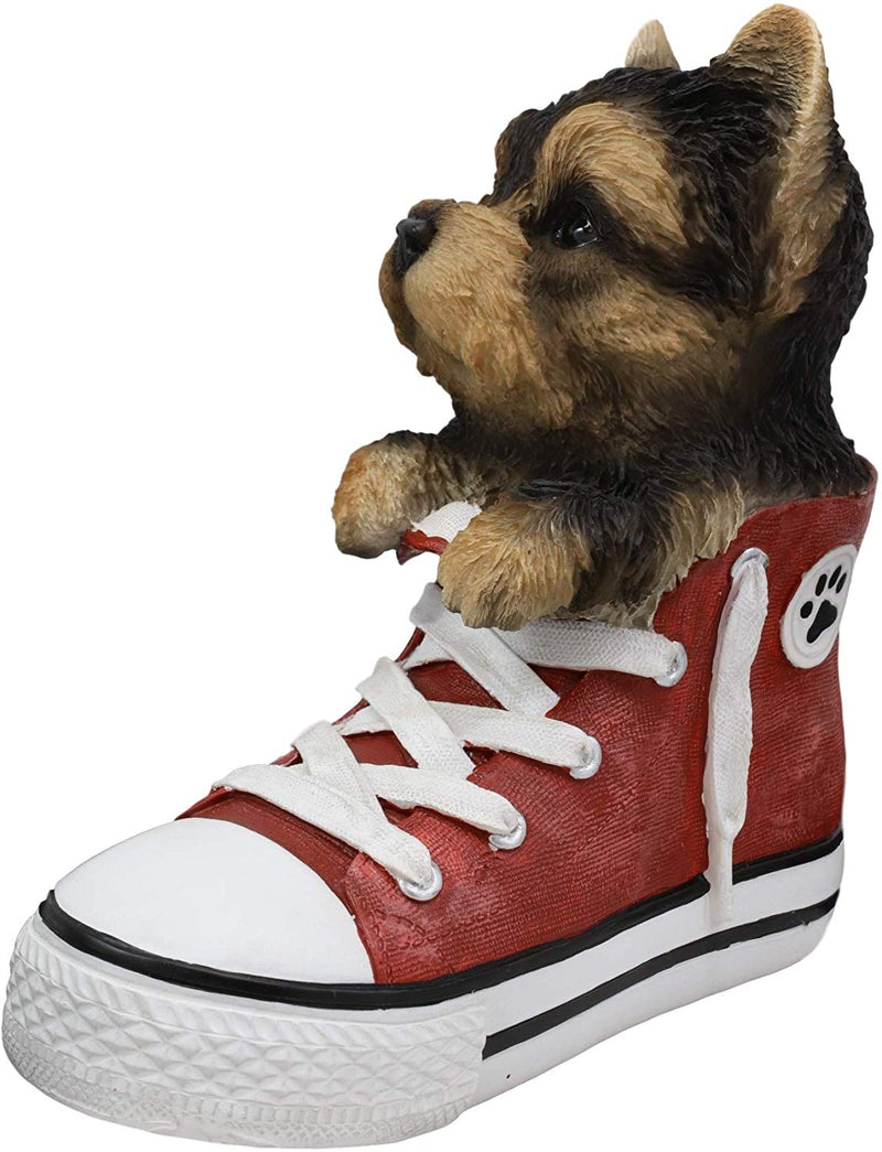 Ebros Paw-Star Pups Yorkie Yorkshire Terrier in Sneaker with Glass