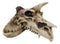 Fossil Skull Smog Fire Breath Horned Dragon Incense Holder Burner Figurine Box