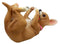 Ebros Female Pink Ribbon Tea Cup Chihuahua Wine Holder Bottle Caddy Figurine 10.25" Long