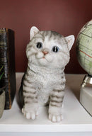 Ebros Lifelike Sitting Grey Tabby Cat Statue 6.75" Tall with Glass Eyes Hand Painted Realistic Feline Kitten Cat Decor Figurine