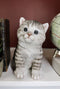 Ebros Lifelike Sitting Grey Tabby Cat Statue 6.75" Tall with Glass Eyes Hand Painted Realistic Feline Kitten Cat Decor Figurine