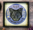 Moons Stars Wicca Black Cat Sees Tells Fortune Teller Wall Decor Picture Frame