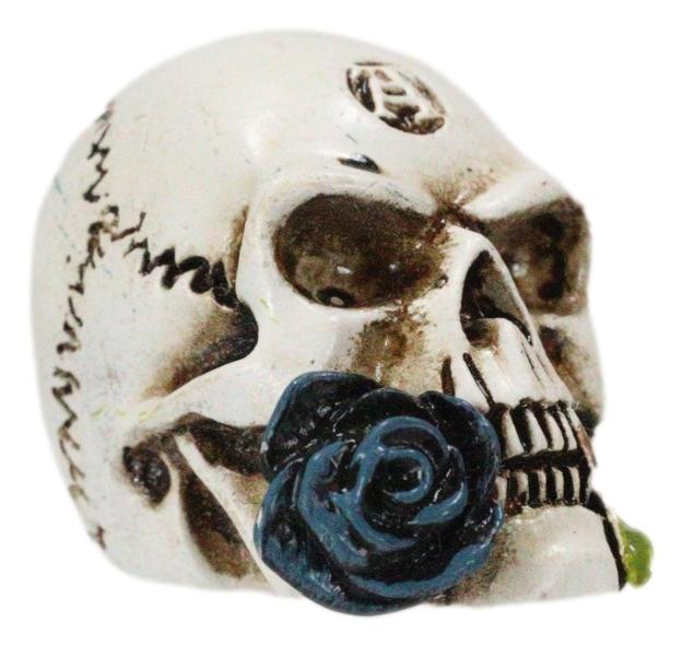 Gothic Tango Vampire Skull Biting Black Rose Stalk Mini Dark Alchemy Figurine
