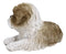 Lifelike Adorable Shih Tzu Dog At Rest With Glass Eyes Figurine Pet Pal Memorial