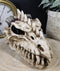 Fossil Skull Smoke Fire Breath Spiked Dragon Incense Holder Burner Figurine Box