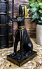 Sitting Ancient Egyptian God Anubis Jackal Dog Figurine 5"H God of The Afterlife
