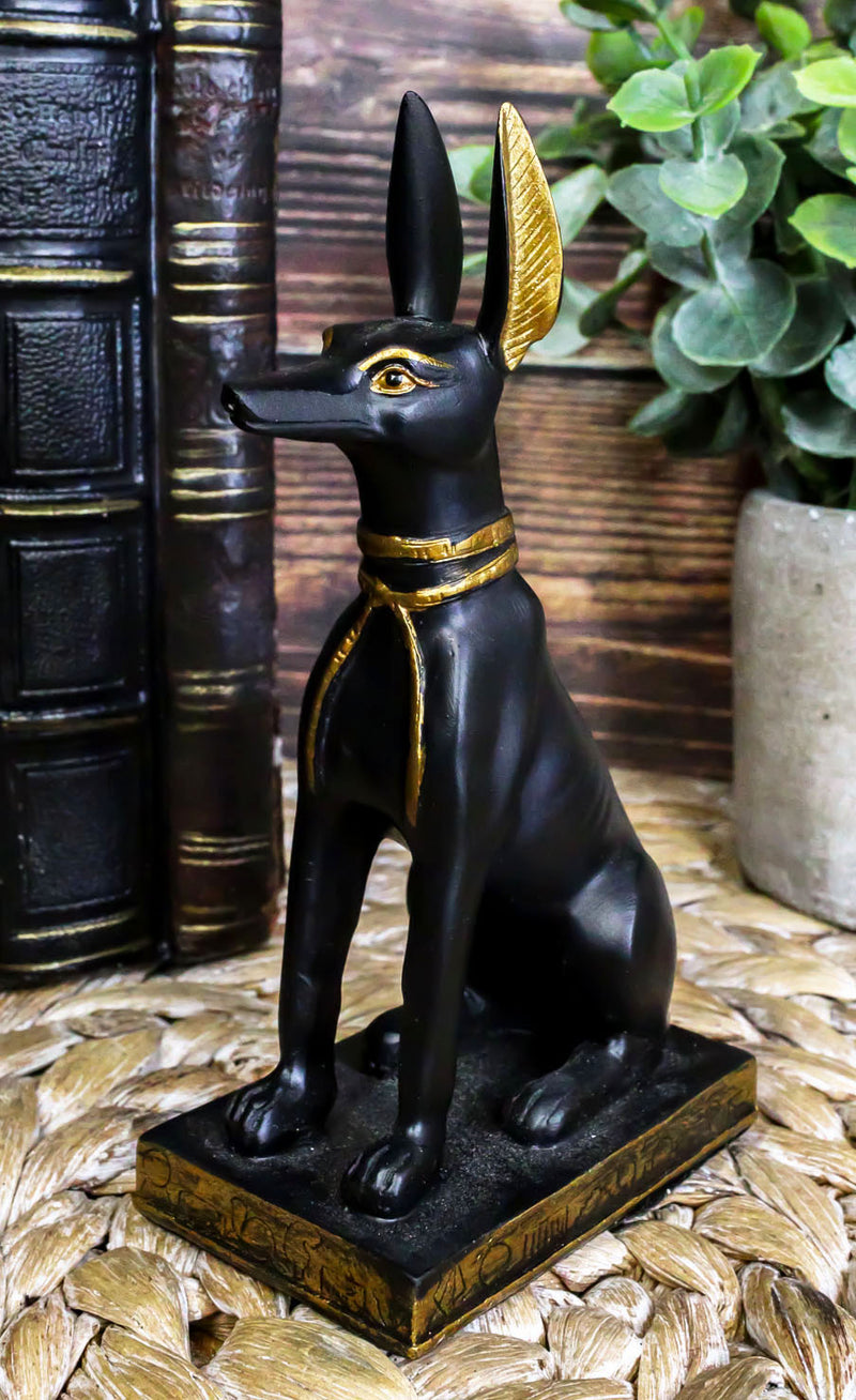 Sitting Ancient Egyptian God Anubis Jackal Dog Figurine 5"H God of The Afterlife