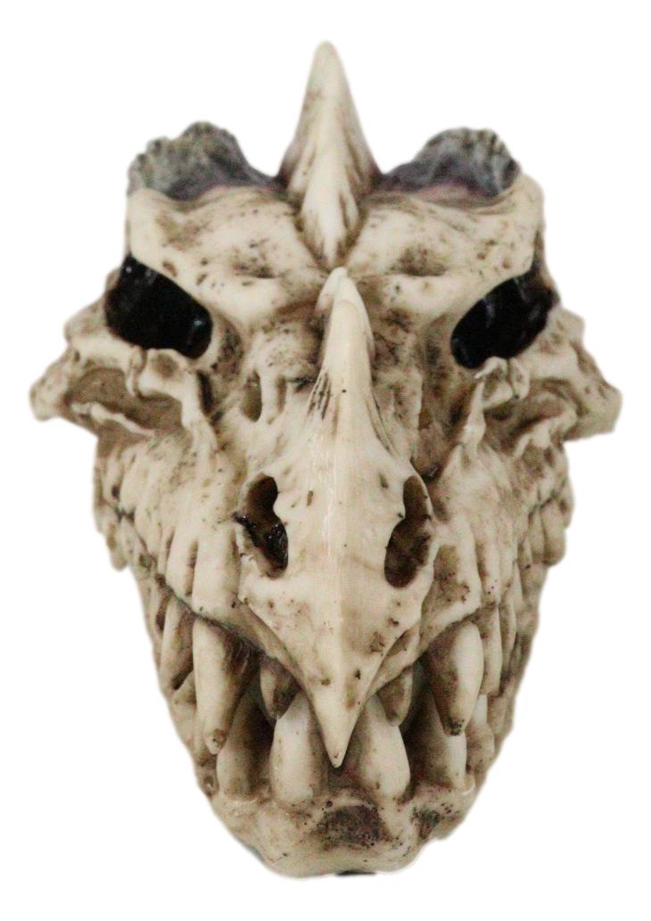 Fossil Skull Smoke Fire Breath Spiked Dragon Incense Holder Burner Figurine Box