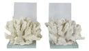 Nautical Coastal Marine White Sea Finger Corals Acrylic Glass Bookends Set