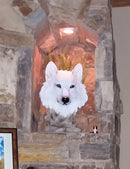 Ebros Large Ghost Albino Arctic Snow White Wolf Head Bust Desk Plaque Statue 16.5" Tall Direwolf Timberwolves