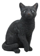Ebros Large Lifelike Pawing Mystical Black Cat Statue 11.75"H with Glass Eyes