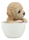 Ebros Realistic Brown Poodle Puppy Teacup Statue Pet Pal Dog Figurine With Glass Eyes