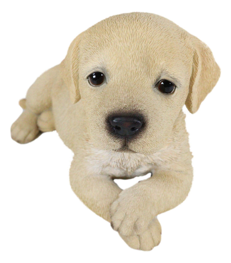 Lifelike Adorable Labrador Puppy Dog Lying On Belly With Crossed Arms Figurine