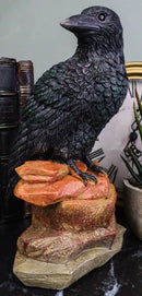 Edgar Poe Realistic Goth Raven Crow Perching On Rocks Figurine Macabre Dark Arts