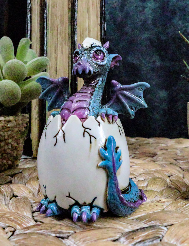 Ebros Small Purple Whimsical Dragon Baby Hatchling In Egg Statue Fantasy Prehistoric Twilight Dragon Collectible Figurine