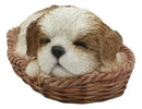 Ebros Realistic Life Like Shih Tzu Sleeping In Wicker Basket Statue Puppy Dog Figurine