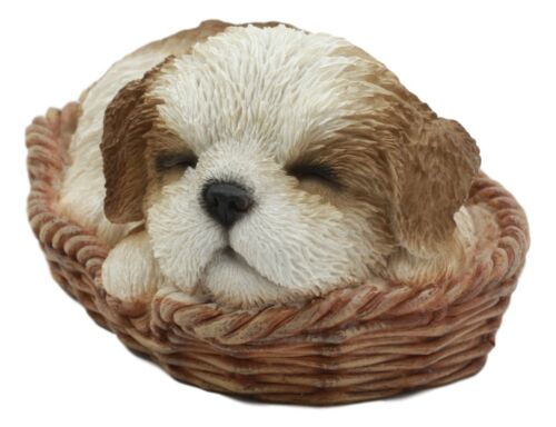 Ebros Realistic Life Like Shih Tzu Sleeping In Wicker Basket Statue Puppy Dog Figurine