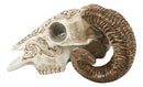 Gothic Macabre Ammon Cultic Tribal Tooled Tattoo Scrimshaw Ram Skull Figurine