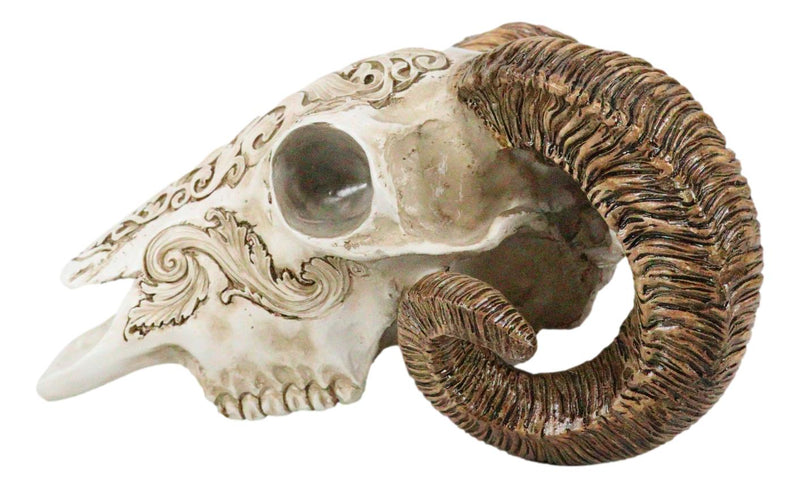 Gothic Macabre Ammon Cultic Tribal Tooled Tattoo Scrimshaw Ram Skull Figurine