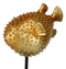 Nautical Marine Faux Taxidermy Golden Pufferfish Fish Sculpture On Pole Mount
