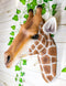 Ebros Safari Giraffe Head Trophy Taxidermy Wall Decor Sculpture Hanging Plaque
