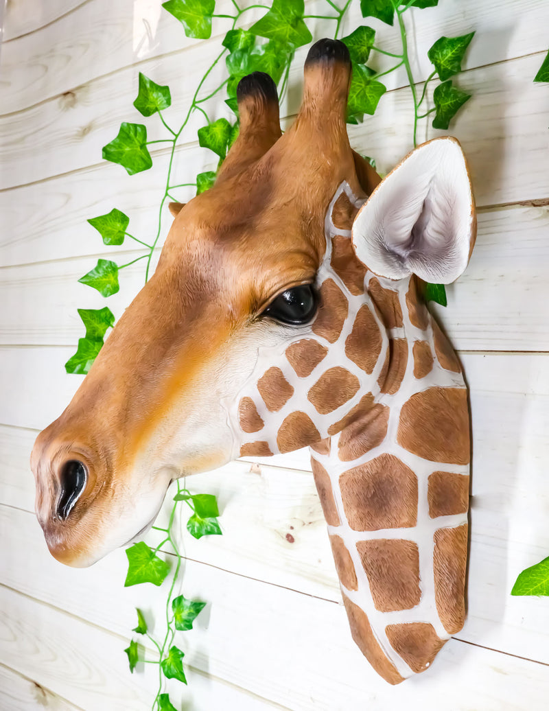 Ebros Safari Giraffe Head Trophy Taxidermy Wall Decor Sculpture Hanging Plaque