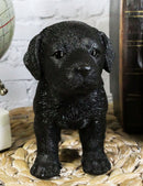 Ebros 6.25"L Realistic Chocolate Labrador Puppy Resin Figurine