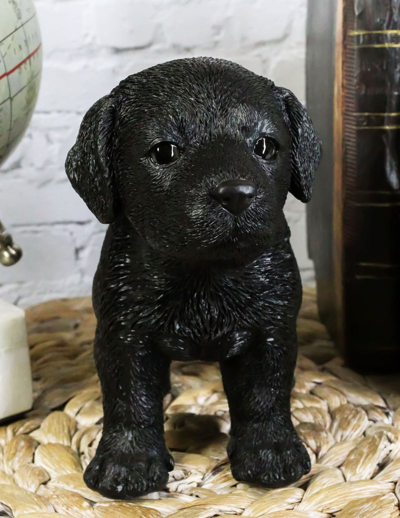 Ebros 6.25 L Realistic Chocolate Labrador Puppy Resin Figurine Ebros Gift