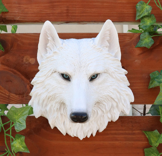 Ghost Albino Arctic White Wolf Head Wall Decor Plaque 8.5"H Direwolf Figurine - Ebros Gift