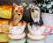 Ebros Ceramic Black And Tan Yorkshire Terriers Yorkie Pet Dogs In Teacups Salt And Pepper Shakers Set