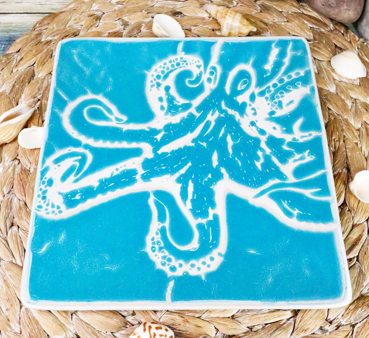 Ebros Nautical Sea Giant Octopus Blue Salad Dessert Plate Set of 2 Square 8.5"