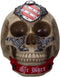 Ebros The Knights of The Round Table King Arthur Skulls Sir Bors Skull Figurine