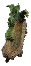 Ebros Green Earth Dryad Tree Greenman Dragon Incense Holder Burner Figurine