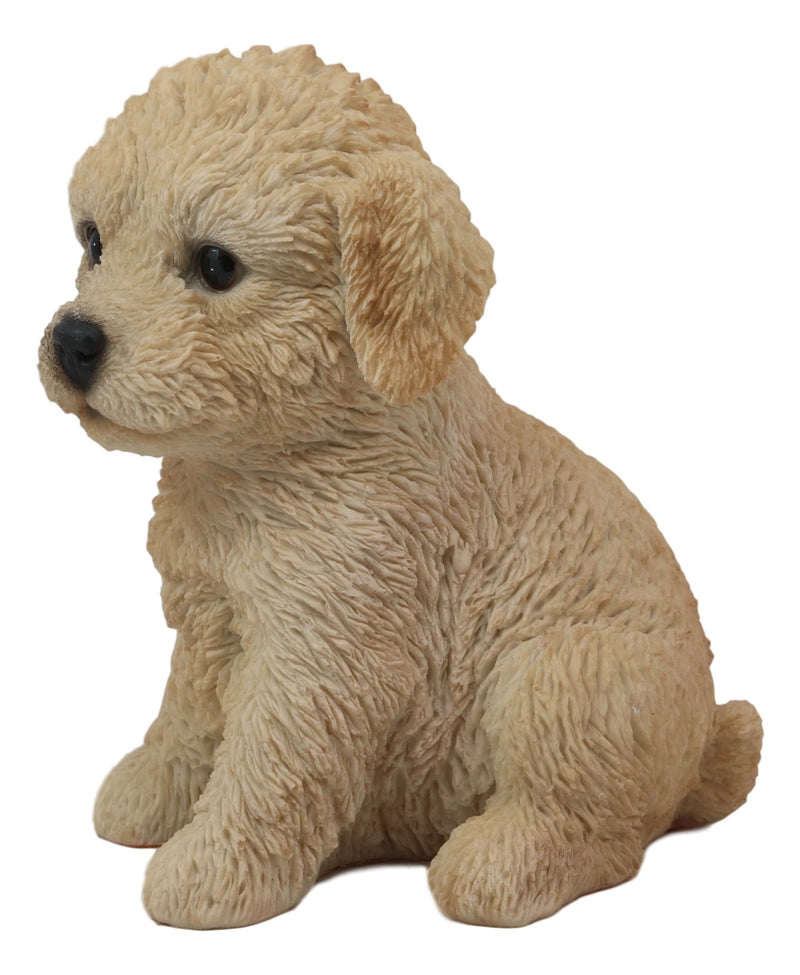 Ebros Realistic Adorable Sitting Golden Labradoodle Puppy Statue 6.5" H