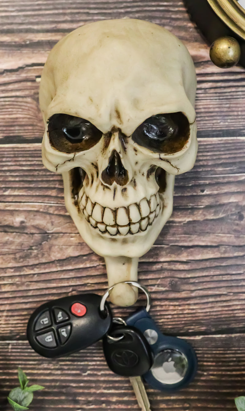 Pack Of 2 Macabre Halloween Grinning Evil Skull Head Bone Wall Coat Hook Plaque