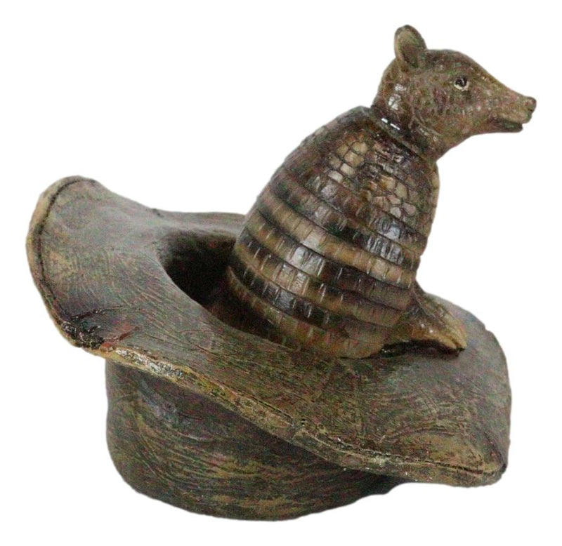 Western Rustic Texas Wild Armadillo Sitting in Cowboy Hat Decorative Figurine