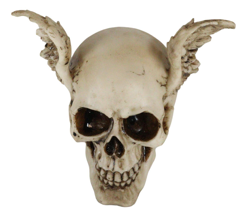 Ebros Day Of The Dead Guardian Angel Winged Skull Statue Time Waits For No Man Figure
