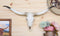 20" L Rustic Western Texas Longhorn Steer Cow Skull Resin Wall Decor Plaque