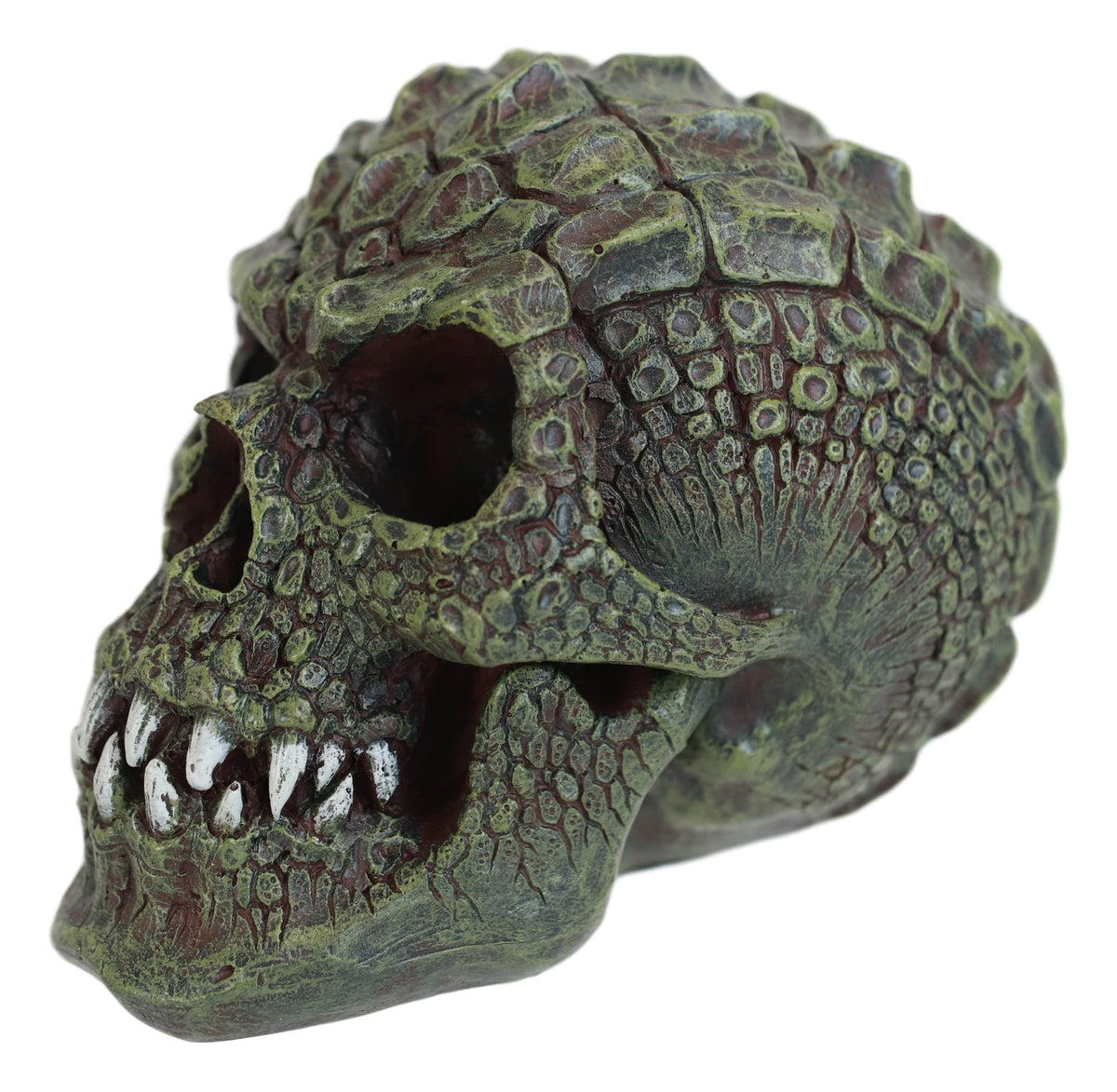 Gator Head Alligator Monster Cranium Skull With Hide Skin Look Decorative Statue