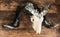 Ornate Crystal Gems Silver Bolted Bighorn Sheep Ram Skull Desktop Or Wall Plaque