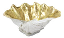 Ebros 10" L Golden Nautical Giant Clam Shell Jewelry Dish Bowl Holder Statue