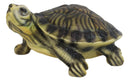 Lifelike Yellow Bellied Slider Turtle Tortoise Figurine 4.75"L Zen Feng Shui